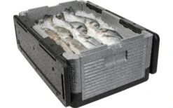 Overath Flip Box BIG Faltbare Isolierbox 39 Liter -Wild Und Frei 120016 2250319