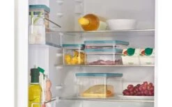 Mepal Omnia Kühlschrankdose Frühstück 1200 Ml Nordic Green 11 Mepal Omnia Kühlschrankdose Frühstück 1200 Ml Nordic Green -Wild Und Frei 502076 3438252 1